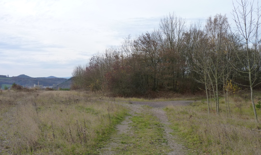 Bild_3b