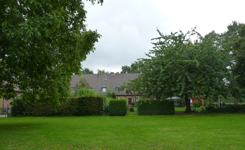 Bild8