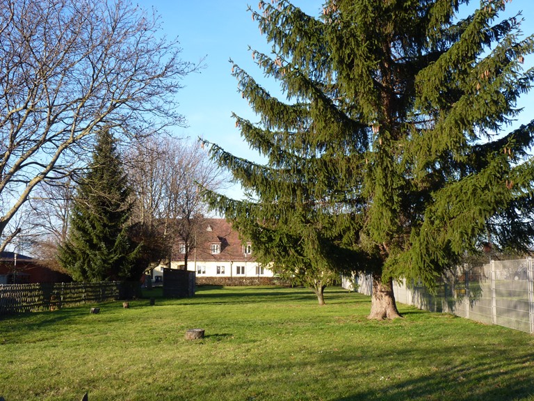 Legefeld